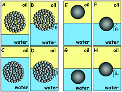 Graphical abstract: Attachment of composite porous supra-particles to air–water and oil–water interfaces: theory and experiment