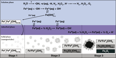 Graphical abstract: Effect of ferrous ion concentration on the kinetics of radiation-induced iron-oxide nanoparticle formation and growth