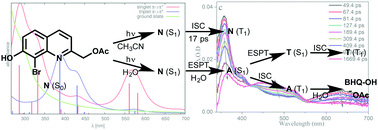 Graphical abstract: Unravelling the early photochemical behavior of (8-substituted-7-hydroxyquinolinyl)methyl acetates through electronic structure theory and ultrafast transient absorption spectroscopy
