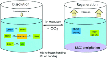 Graphical abstract: Fine regulation of cellulose dissolution and regeneration by low pressure CO2 in DMSO/organic base: dissolution behavior and mechanism