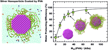 Graphical abstract: Poly(vinyl alcohol) as a water protecting agent for silver nanoparticles: the role of polymer size and structure