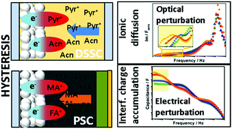 Graphical abstract: Specific cation interactions as the cause of slow dynamics and hysteresis in dye and perovskite solar cells: a small-perturbation study