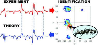 Graphical abstract: Ramachandran mapping of peptide conformation using a large database of computed Raman and Raman optical activity spectra