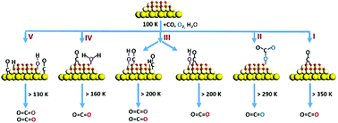 Graphical abstract: Surface reaction network of CO oxidation on CeO2/Au(110) inverse model catalysts