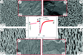 Graphical abstract: Conductivity and phase morphology of carbon black-filled immiscible polymer blends under creep: an experimental and theoretical study