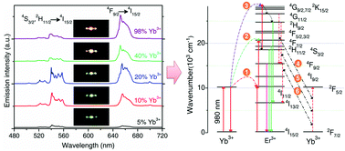 Graphical abstract: Simultaneous spectra and dynamics processes tuning of a single upconversion microtube through Yb3+ doping concentration and excitation power