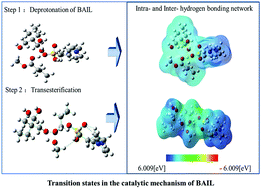 Graphical abstract: Understanding the role of hydrogen bonding in Brønsted acidic ionic liquid-catalyzed transesterification: a combined theoretical and experimental investigation