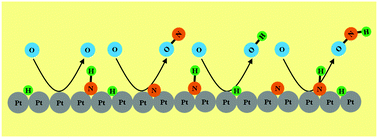 Graphical abstract: Dynamic nitroxyl formation in the ammonia oxidation on platinum via Eley–Rideal reactions