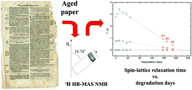 Graphical abstract: The role of water in the degradation process of paper using 1H HR-MAS NMR spectroscopy