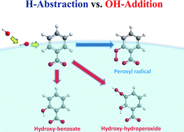 Graphical abstract: Extensive H-atom abstraction from benzoate by OH-radicals at the air–water interface
