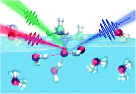 Graphical abstract: Trimethylamine-N-oxide: its hydration structure, surface activity, and biological function, viewed by vibrational spectroscopy and molecular dynamics simulations
