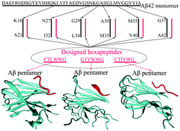 Graphical abstract: A computational study of self-assembled hexapeptide inhibitors against amyloid-β (Aβ) aggregation