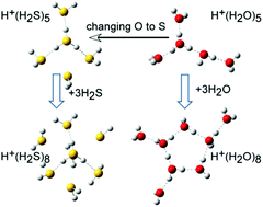 Graphical abstract: Structures of protonated hydrogen sulfide clusters, H+(H2S)n, highlighting the nature of sulfur-centered intermolecular interactions