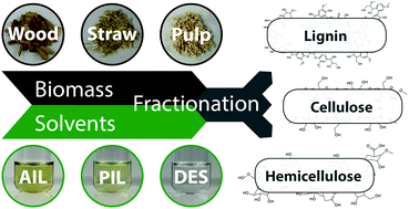 Graphical abstract: Ionic liquids and deep eutectic solvents for lignocellulosic biomass fractionation