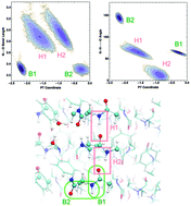 Graphical abstract: A computational study on how structure influences the optical properties in model crystal structures of amyloid fibrils