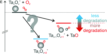Graphical abstract: Consecutive reactions of small, free tantalum clusters with dioxygen controlled by relaxation dynamics