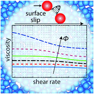 Graphical abstract: Slip on a particle surface as the possible origin of shear thinning in non-Brownian suspensions