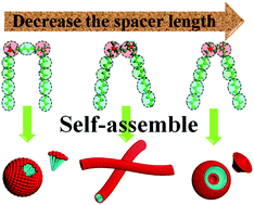 Graphical abstract: Coarse-grained molecular dynamics study on the self-assembly of Gemini surfactants: the effect of spacer length