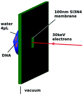 Graphical abstract: Direct electron irradiation of DNA in a fully aqueous environment. Damage determination in combination with Monte Carlo simulations