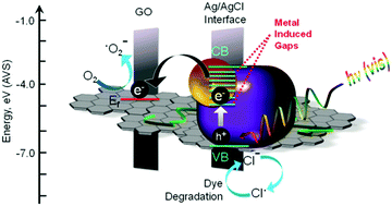 Graphical abstract: A bio-inspired strategy for the interfacial assembly of graphene oxide with in situ generated Ag/AgCl: designing sustainable hybrid photocatalysts