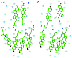 Graphical abstract: The dynamic binding of cholesterol to the multiple sites of C99: as revealed by coarse-grained and all-atom simulations
