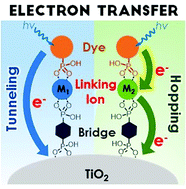 Graphical abstract: Metal ion mediated electron transfer at dye–semiconductor interfaces
