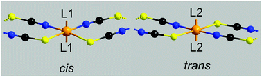 Graphical abstract: Influence of metal coordination and co-ligands on the magnetic properties of 1D Co(NCS)2 coordination polymers