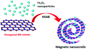 Graphical abstract: Evolution of magnetism by rolling up hexagonal boron nitride nanosheets tailored with superparamagnetic nanoparticles