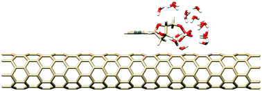 Graphical abstract: Electronic properties of carbon nanotubes complexed with a DNA nucleotide