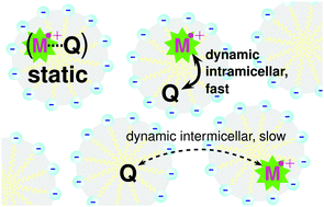 Graphical abstract: Combined static and dynamic quenching in micellar systems—closed-form integrated rate laws verified using a versatile probe