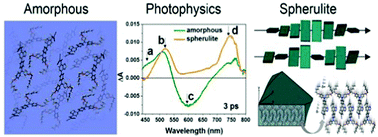 Graphical abstract: Photoinduced charge recombination in dipolar D–A–A photonic liquid crystal polymorphs