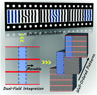 Graphical abstract: Ordering kinetics of lamella-forming block copolymers under the guidance of various external fields studied by dynamic self-consistent field theory