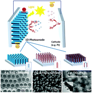 Graphical abstract: Photoanodes based on TiO2 and α-Fe2O3 for solar water splitting – superior role of 1D nanoarchitectures and of combined heterostructures