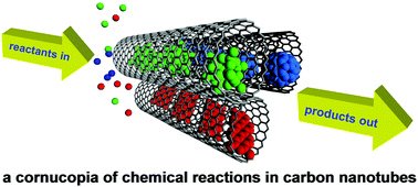 Graphical abstract: Chemical reactions confined within carbon nanotubes