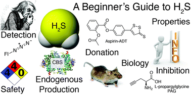 Graphical abstract: A practical guide to working with H2S at the interface of chemistry and biology