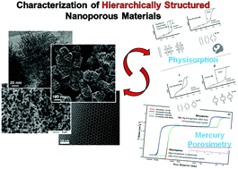 Graphical abstract: Recent advances in the textural characterization of hierarchically structured nanoporous materials