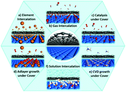 Graphical abstract: Surface chemistry and catalysis confined under two-dimensional materials
