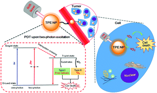 Graphical abstract: Two-photon excitation nanoparticles for photodynamic therapy