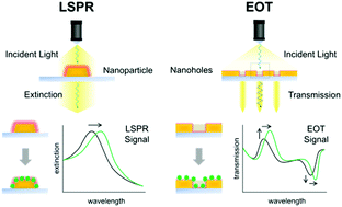 Graphical abstract: Nanoplasmonic sensors for biointerfacial science
