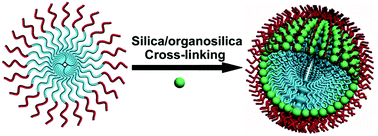 Graphical abstract: Silica/organosilica cross-linked block copolymer micelles: a versatile theranostic platform