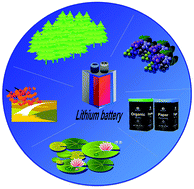 Graphical abstract: Biomass-derived nanostructured carbons and their composites as anode materials for lithium ion batteries