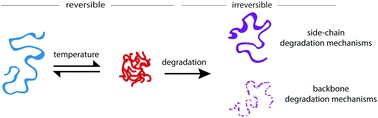 Graphical abstract: Transiently thermoresponsive polymers and their applications in biomedicine