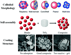 Graphical abstract: Design colloidal particle morphology and self-assembly for coating applications