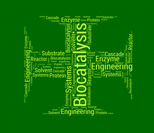 Graphical abstract: Biocatalysis engineering: the big picture