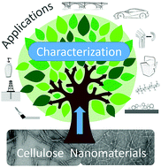 Graphical abstract: Current characterization methods for cellulose nanomaterials