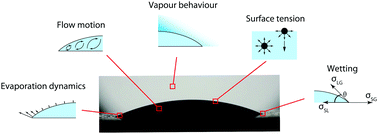 Graphical abstract: Recent advances in droplet wetting and evaporation