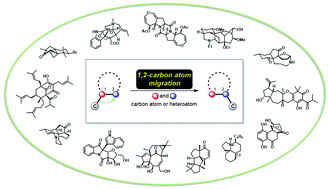 Graphical abstract: Recent applications of the 1,2-carbon atom migration strategy in complex natural product total synthesis