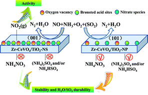 Graphical abstract: Morphology-dependent performance of Zr–CeVO4/TiO2 for selective catalytic reduction of NO with NH3