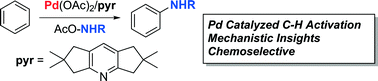 Graphical abstract: Non-directed aromatic C–H amination: catalytic and mechanistic studies enabled by Pd catalyst and reagent design