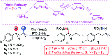 Graphical abstract: Insight into the mechanism and site-selectivity of Rh2II,II(esp)2-catalyzed intermolecular C–H amination